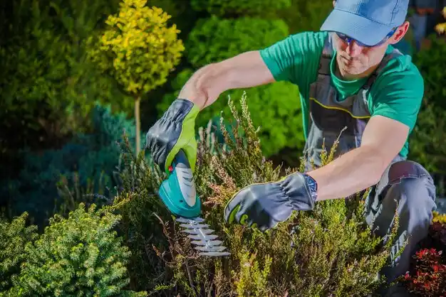 landscaping services Bellemeade